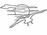 Gaviota Soleil Coucher Coloriage Gaviotas Tramonto Imprimer Mewa Seagulls Dessin Coloriages Puesta Kolorowanki Mewy Sunsets Dzieci Volando Alas Słońca Seagull sketch template