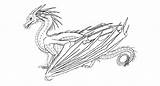 Hybrid Rainwing Icewing Base Pomegranate Nightwing Seawing Use Tribrid Silkwing Deviantart F2u Line sketch template