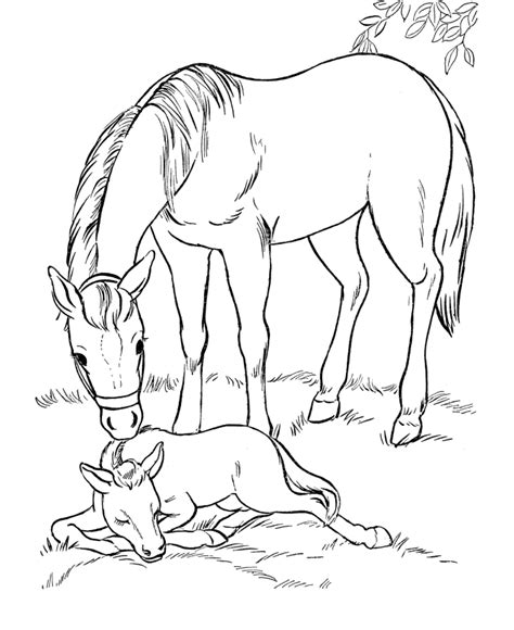 mare  foal horse coloring pages farm animal coloring pages