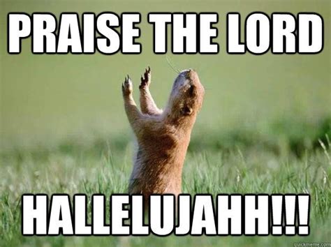 praise  lord funny animal pictures funny animals animal pictures