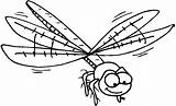 Insects Kids Insecten Insect Fun Coloring Pages sketch template