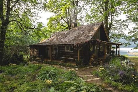 shack house simplistic  amazing  beautiful  story