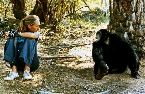 jane goodall  marriage        dont
