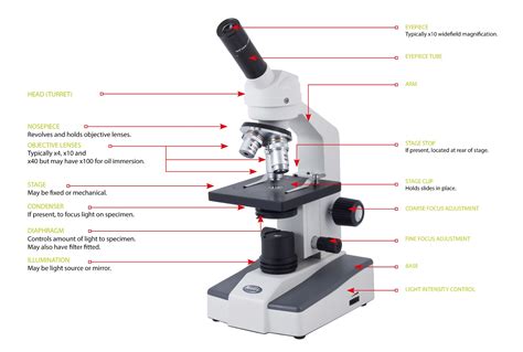 types parts  functions   microscope arnoticiastv
