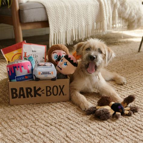 perfect gifts   pets  pet lovers   holiday list curated