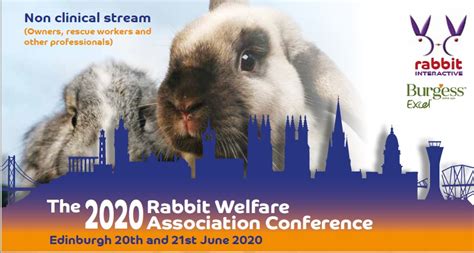 2020 owner stream rabbit welfare shop