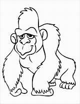 Gorilla Coloring Pages Orangutan Cute Clipart Drawing Print Color Kids Printable Gorila Para Panda Colorir Clip Night Good Desenho Coloringbay sketch template