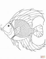 Coloring Coral Fish Pages sketch template