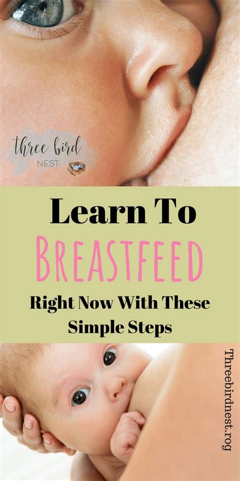 Breastfeeding Guide Quick And Simple Guide To What Youll Need Plus