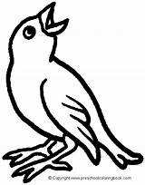 Uccelli Uccellini Desenho Oiseaux Passaro Disegno Caw Tweeting Aprender Coloriages Rag Tribal sketch template