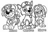Paw Patrol Coloring Pages Printable Kids Cartoon Print Color Skye Zuma Dog sketch template