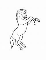 Rearing Horse Coloring Horses Pages Drawing Getcolorings Color Getdrawings sketch template