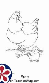 Farm Coloring Babies Animals Pages Their Teachersmag sketch template