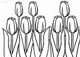 Gambar Mewarnai Tulip Tulpe Broonet Contoh Sketsa Blumen Kostenlos Drucken Cool2bkids Ausdrucken Terpopuler Beginilah Beragam Tanaman sketch template