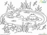 Preschool Frogs Cliparts Education Estanque Habitats Estanques Sapo Lagoa Colorier Leerlo étang Draw sketch template