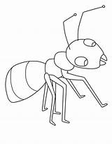 Ant Drawing Coloring Kids Ants Colouring Pages Clipart Marching Template Color Children Working Collection Leaf Print Big Size Cutter Gif sketch template