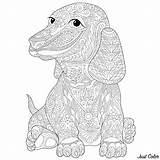 Colorare Disegni Cani Teckel Adulti Chien Zentangle Colouring Sausage Erwachsene Hunde Chiens Dachshund Animali Printable Tedesco Bassotto Justcolor Gestileerde Tekkel sketch template