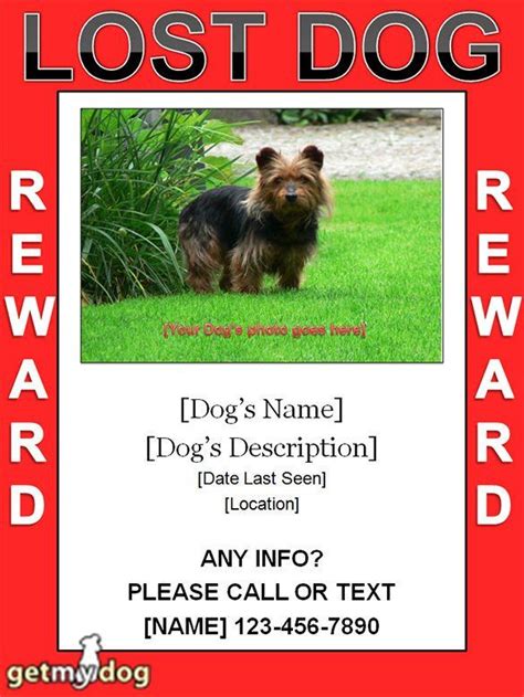 lost dog poster template  printable  templateroller images