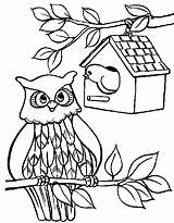 Coloring Pages House Bird Owl Birdhouse Color Print Place Button Through Sheet Getdrawings Tocolor Grab Feel Could Well Right Size sketch template