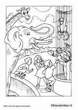 Dierentuin Kleuteridee Dieren Coloriage Horsthuis Envelope Theme Malvorlagen Dierentuindieren sketch template
