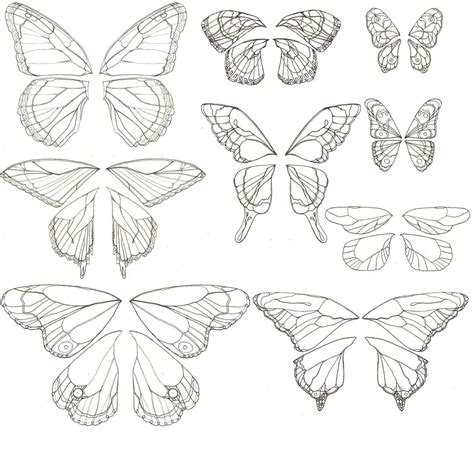 elfwood fantasy  sci fi art butterfly drawing butterfly wings