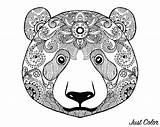 Coloring Pages Animal Adults Bears Kids Animals Color Bear Print Adult Children Printable Face Justcolor sketch template