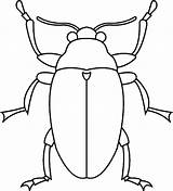 Bug Coloring Pages Getcolorings Beetle sketch template