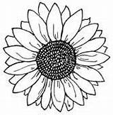 Sunflower Coloring Pages Sunflowers Tattoo sketch template