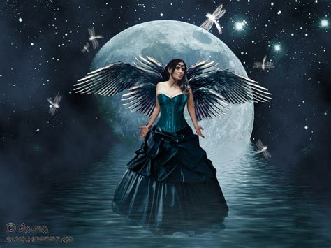 fairies images moon fairy hd wallpaper  background