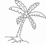 Coconut Tree Vector Coloring Kids sketch template