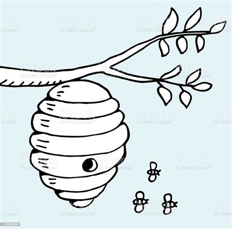 beehive  tree branch stock illustration  image