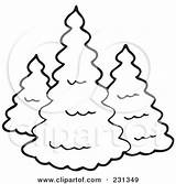 Evergreen Coloring Tree Three Conifer Clipart Illustration Visekart Royalty Evergreens Outline Vector sketch template