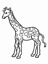 Giraffe Coloring Pages Girafe Kids Drawing Cute Printable Cartoon Baby Coloriage Sheets Giraffes Simple Color Animal Imprimer Colouring Dessin Print sketch template