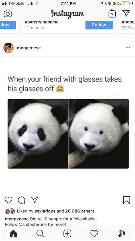Pin By Useritzlizey On Memes Panda Bear Bear Glasses Off