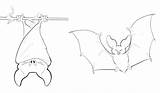 Coloring Bat Vampire Pages Baseball Getcolorings Printable sketch template