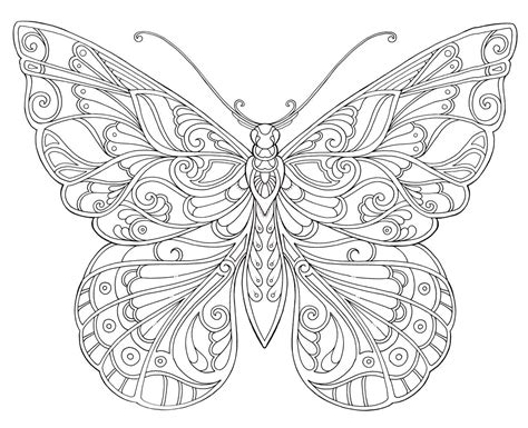 fancy butterfly coloring pages sketch coloring page