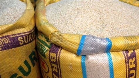 Scientists Have Found A Way To Use Genetically Modified Rice To Prevent Hiv