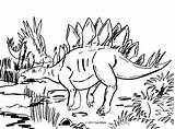Stegosaurus Dinozaury Tyrannosaurus Kolorowanki Pemilihan Pewarna Indah Pngegg Pobierz Drukuj Ingrahamrobotics Bestcoloringpagesforkids Dinosaurs Mammal sketch template
