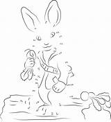 Rabbit Lapin Coniglio Relier Unisci Puntini Bobtail Adulti Stampabile Printmania sketch template