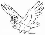 Owl Pooh Coloring2 Disneyclips sketch template
