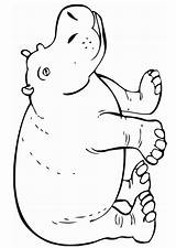 Hippo Hippopotamus Zoo Animalstown Designlooter sketch template