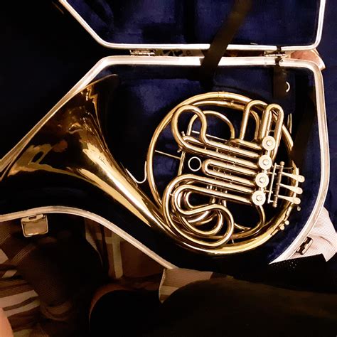 french horn rhorn