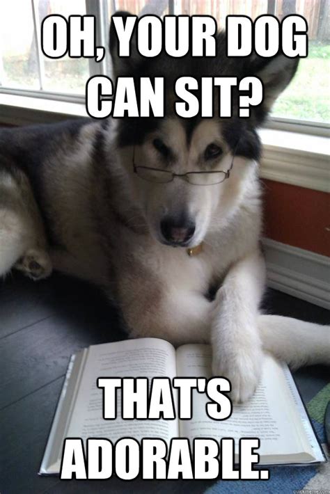 dog  sit  adorable condescending literary pun dog