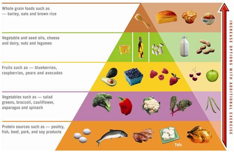 Atkins Diet Phase Two Ongoing Weight Loss Or Owl For Short