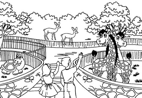 kids  zoo animals coloring page  printable coloring pages  kids