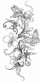 Swirls Butterflies Swirl Metacharis Papillon Coloriage Schmetterling Malvorlagen Papillons Schmetterlinge Vorlagen Erwachsene Mandalas Coloriages Adultes Brandmalerei Vorlage Motyle Blumenranken Seidenmalerei sketch template