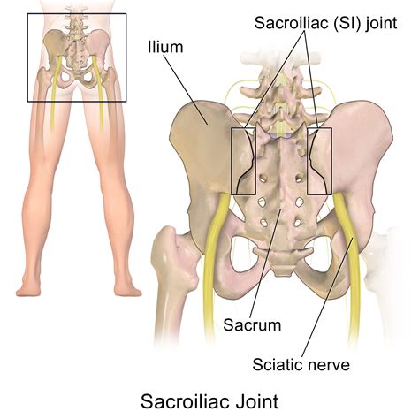 Got Sciatica Massage Therapy Could Offer Relief
