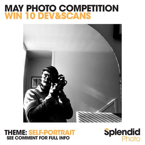 photo competition theme  portrait splendidnz