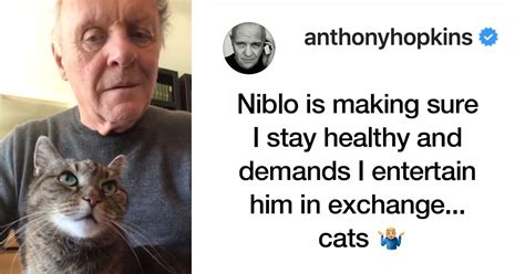 beloved cat  anthony hopkins demands entertainment  social