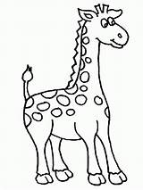 Girafas Girafa Animais sketch template